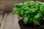 Уникальная зелень от ста болезней: почему вы обязательно должны выращивать базилик