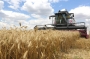 Россия нашла ответ на запрет своего зерна в Европе: кому от этого будет хуже