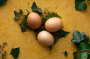 Плод, который по пользе и питательности заменит 3 куриных яйца – что это?