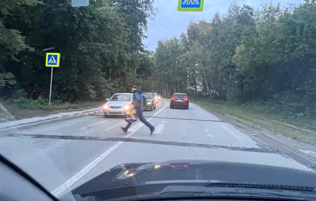 Долгую установку «лежачих полицейских» попытались оправдать, но не ускорить