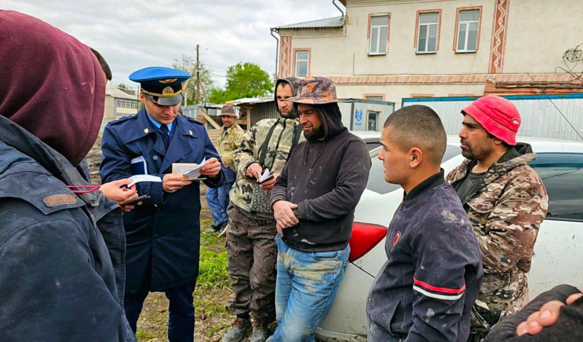 Из Новосибирской области за неделю «выставили» почти три десятка мигрантов