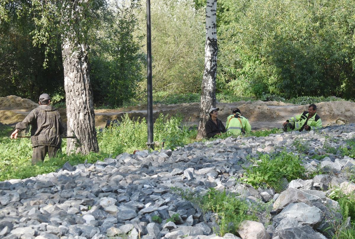 Несколько тысяч мигрантов приехали в Новосибирскую область на заработки