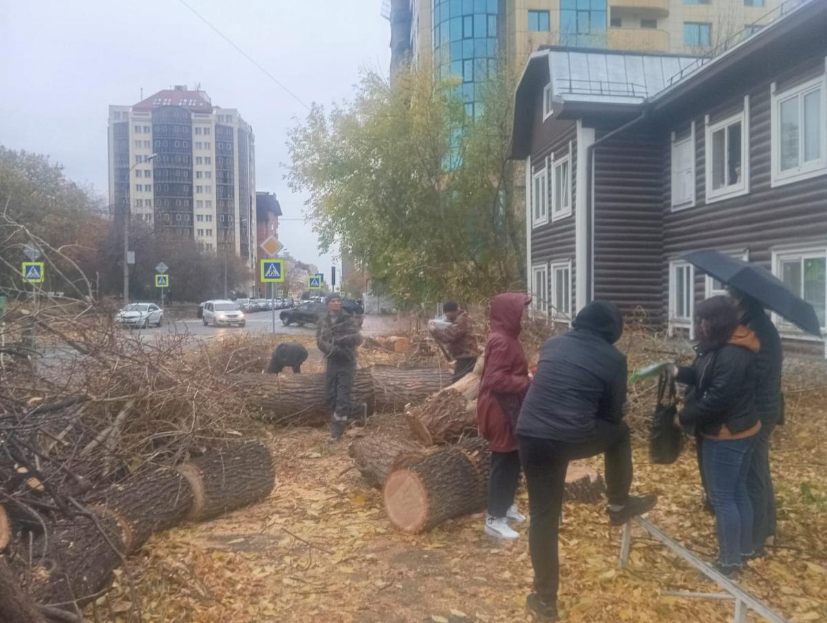 «Экологическая катастрофа»: в слепом стремлении к бесконечной реконструкции в Новосибирске уничтожили улицу Урицкого