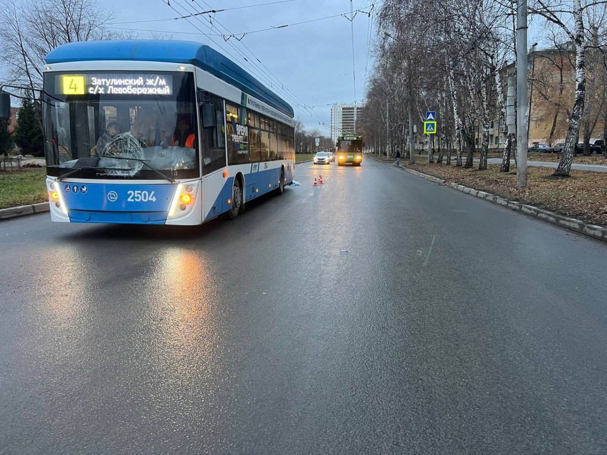 «Успела спасти сынишку»: стали известны подробности гибели беременной женщины на пешеходном переходе