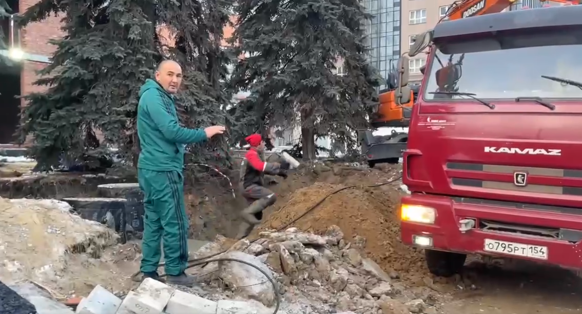 Власти пообещали защитить вековые ели на Богдана Хмельницкого