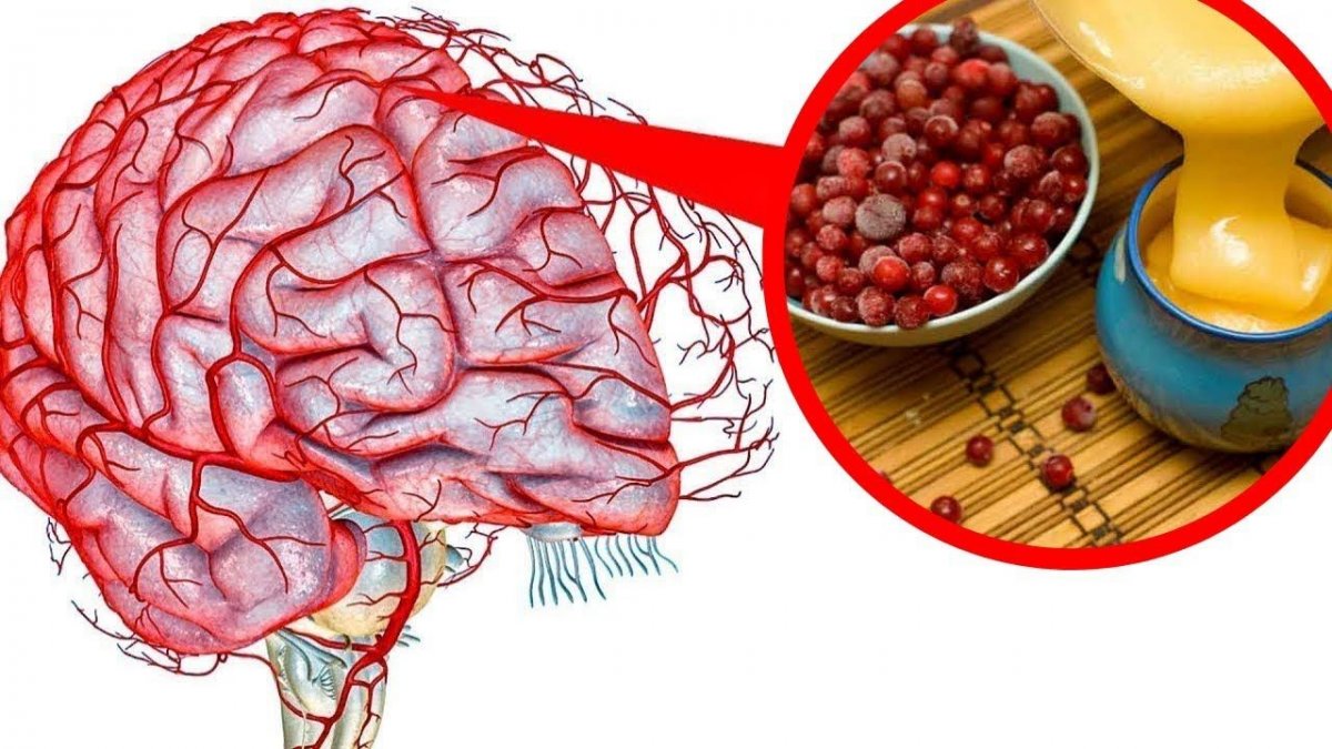 Как улучшить мозговое кровообращение и работу мозга в любом возрасте: 2 простых решения